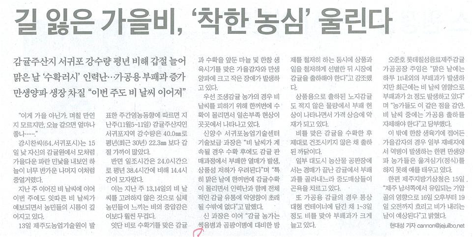 길 잃은 가을비, ‘착한 농심’울린다 [제주일보-2015.11.16.]